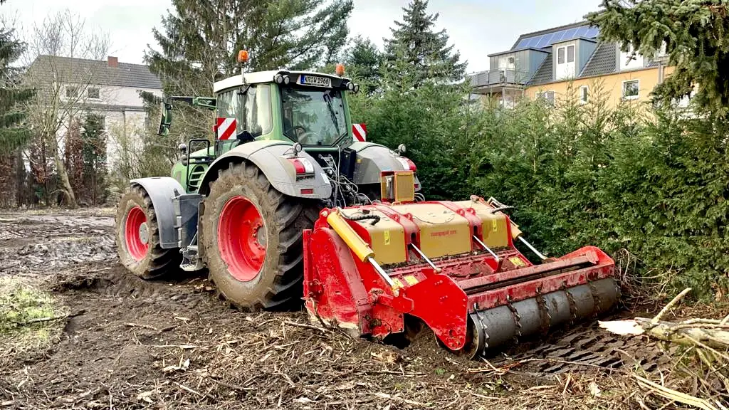 Rodungsarbeiten, Bäume mussten geschnitten/gefällt werden Gerodete Bäume (Kahlschlag)